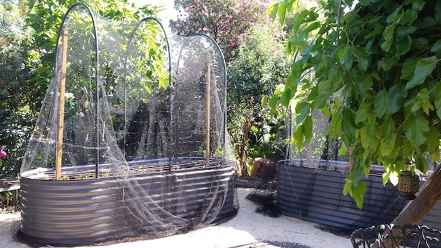 Setting up of galvanised vegetable garden in Fullarton Adelaide